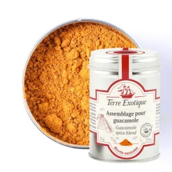 Assemblage pour Guacamole 55 g - Terre Exotique
