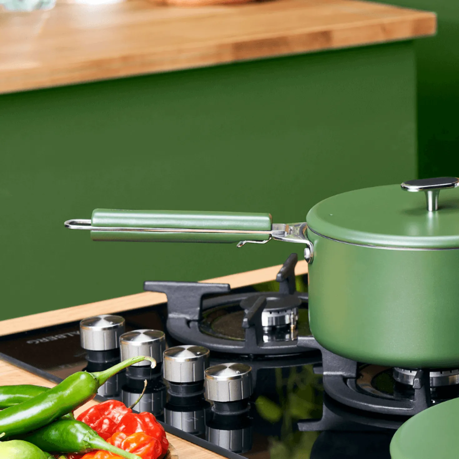 Casserole Merveilleuse Fougère 20 cm + accessoires offerts