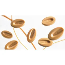 Chocolat à pâtisser blond Dulcey 32% 1 kg - Valrhona