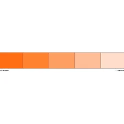 Colorant liposoluble Orange 20 ml - Colour Mill