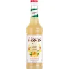 Concentré Gingembre 70 cl - Monin