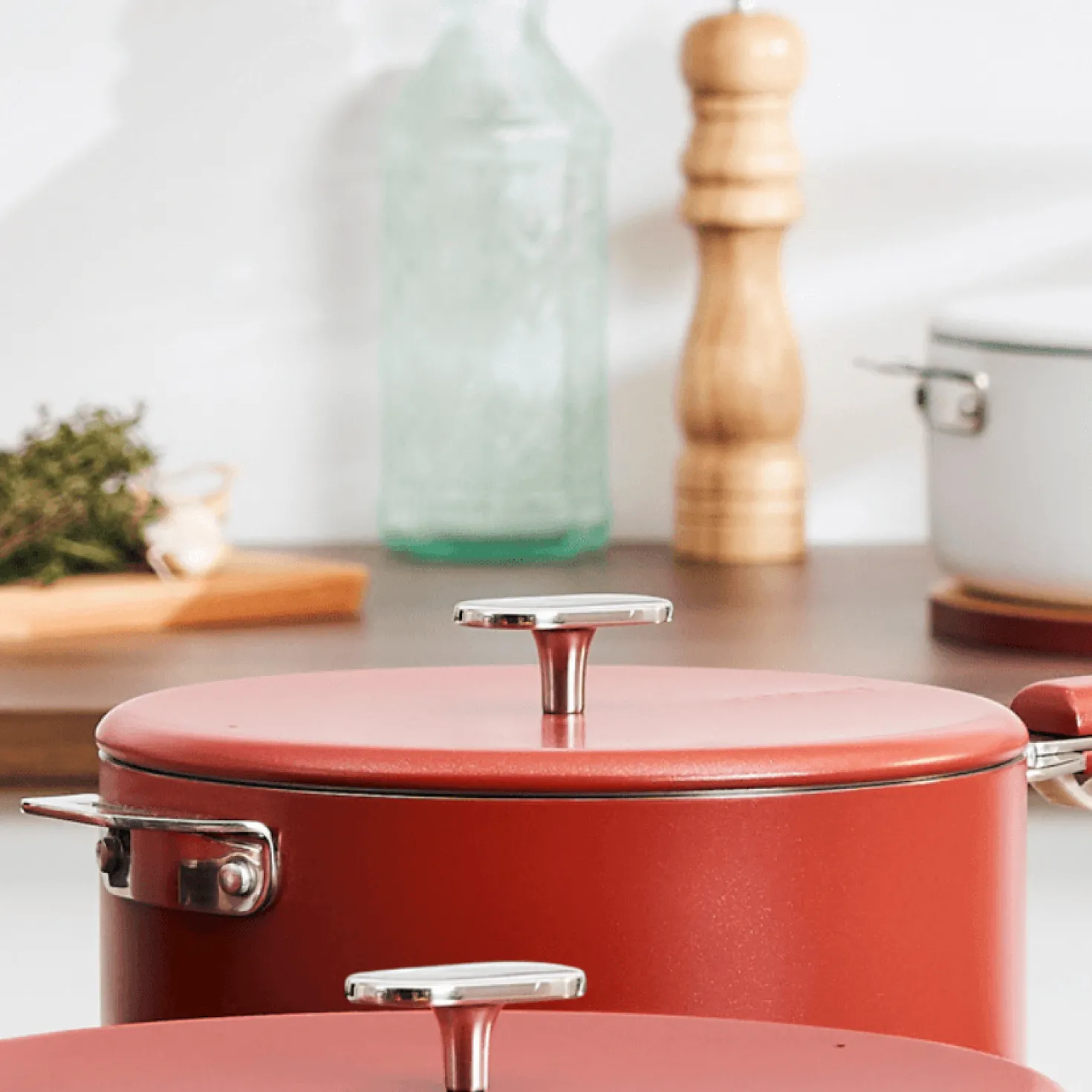 Couvercle inox Le Merveilleux 20 cm passion - Cookut