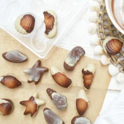 Moule à chocolat en plastique rigide 20 empreintes Fritures