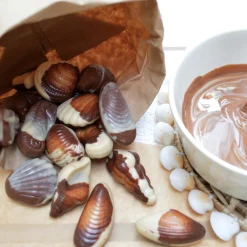 Moule à chocolat en plastique rigide 20 empreintes Fritures