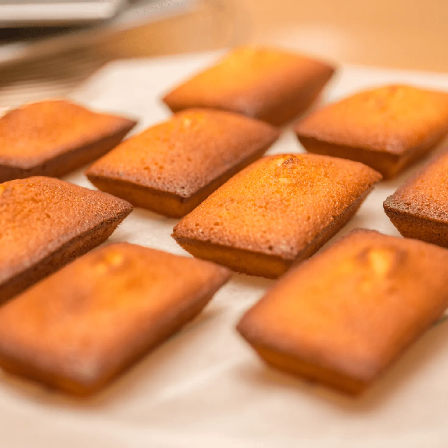 Moule 6 financiers en métal revêtu sans PFAS - Alice Délice