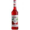 Sirop Framboise 70 cl - Monin