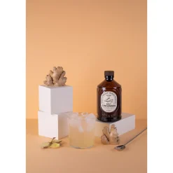 Sirop Gingembre bio 400 ml Brut - Bacanha