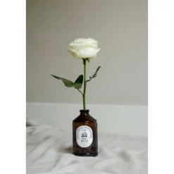 Sirop Rose bio 400 ml Brut - Bacanha